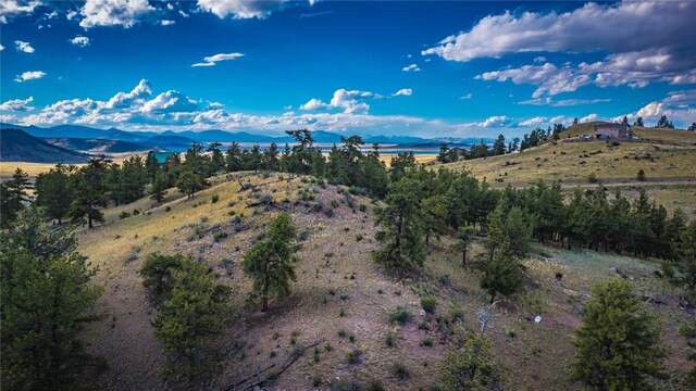 1300 Bridle Path, Hartsel, CO 80449