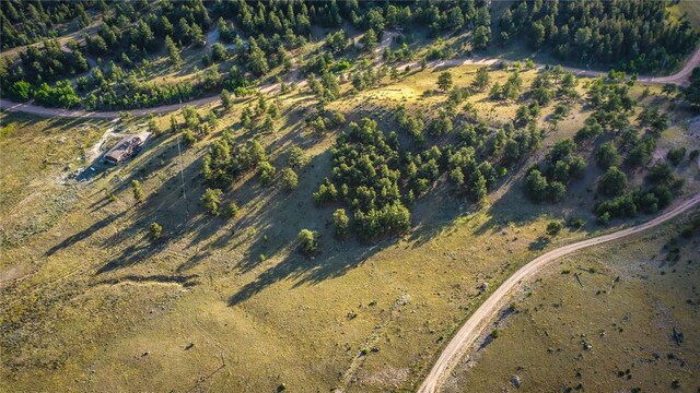 1300 Bridle Path, Hartsel, CO 80449
