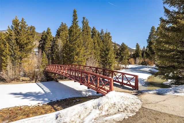 1203 W Keystone Rd Unit 2709, Keystone, CO 80435 - view of community featuring a view of trees