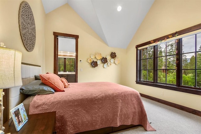 228 Cottonwood Cir, Breckenridge, CO 80424 - carpeted bedroom featuring lofted ceiling and baseboards