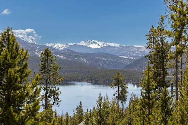 440 Gcr 466, Grand Lake, CO 80447 - water view featuring a heavily wooded area and mountains