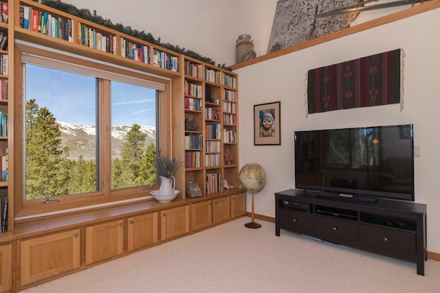 440 Gcr 466, Grand Lake, CO 80447 - sitting room with baseboards and carpet flooring