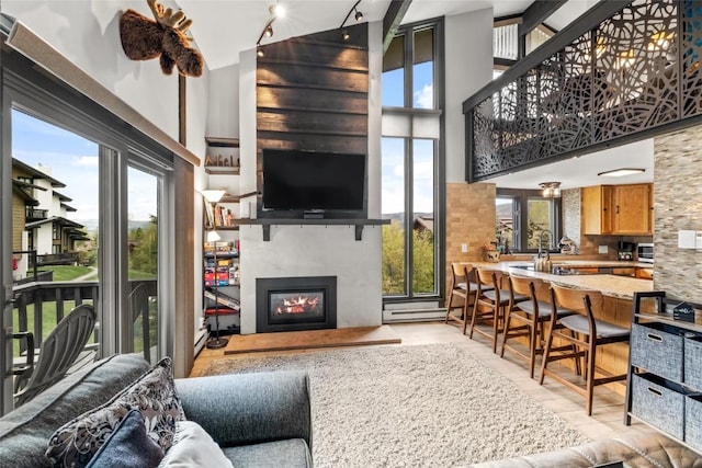 2515 Apres Ski Way Unit 5, Steamboat Springs, CO 80487 - living room featuring healthy amount of natural light, high vaulted ceiling, a glass covered fireplace, and rail lighting