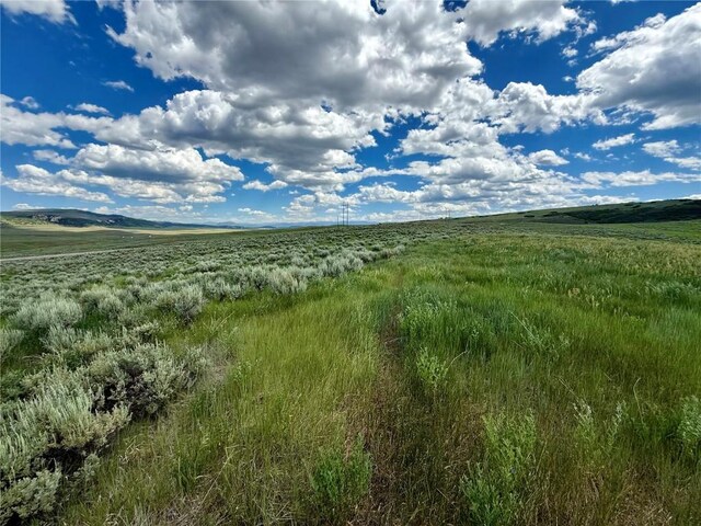 29995 County Road 27, Hayden, CO 81639 - photo 5