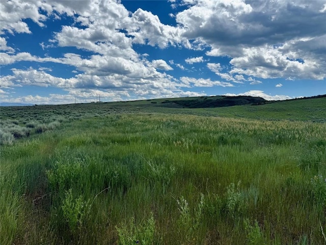 29995 County Road 27, Hayden, CO 81639 - photo 1