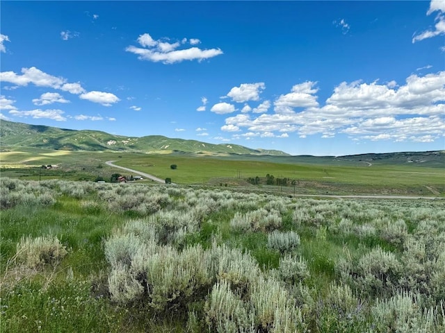 29995 County Road 27, Hayden, CO 81639 - photo 6