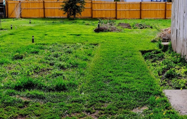 436 Clifton Ave, Yampa, CO 80483 - view of yard