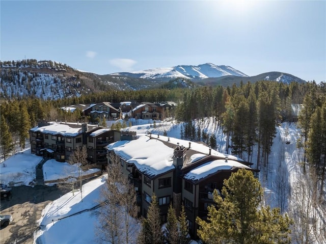 mountain view featuring a view of trees