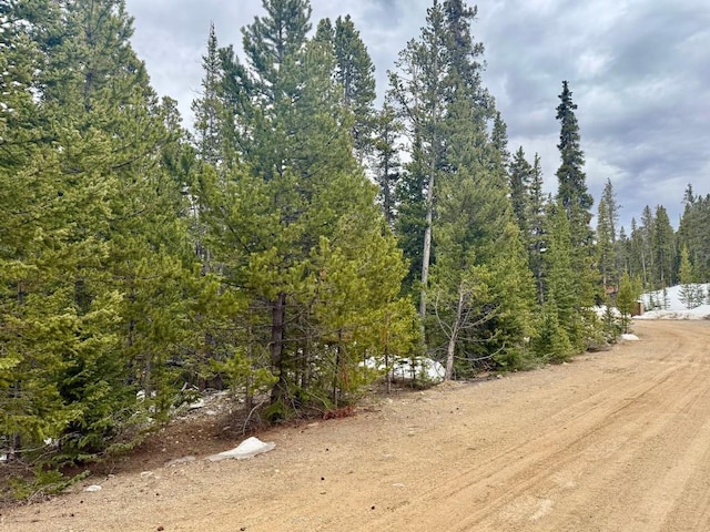 48 Snowshoe Pl, Fairplay, CO 80440