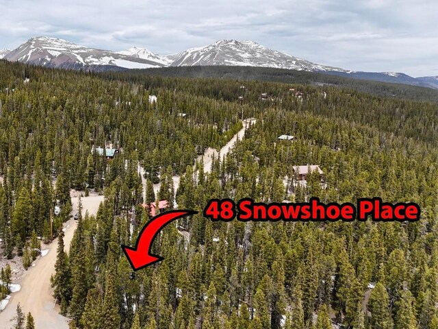 48 Snowshoe Pl, Fairplay, CO 80440