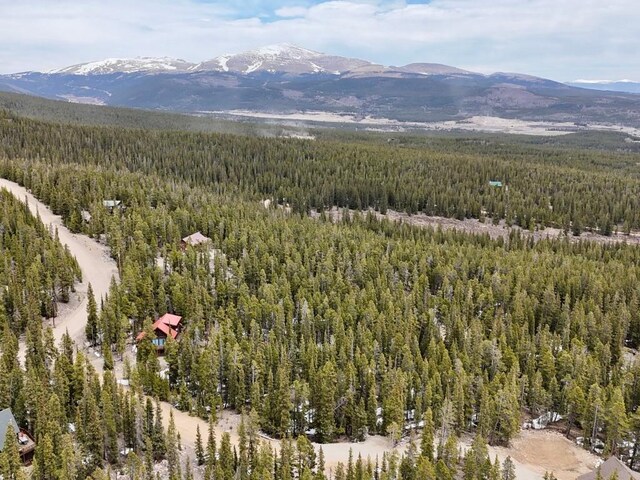 48 Snowshoe Pl, Fairplay, CO 80440