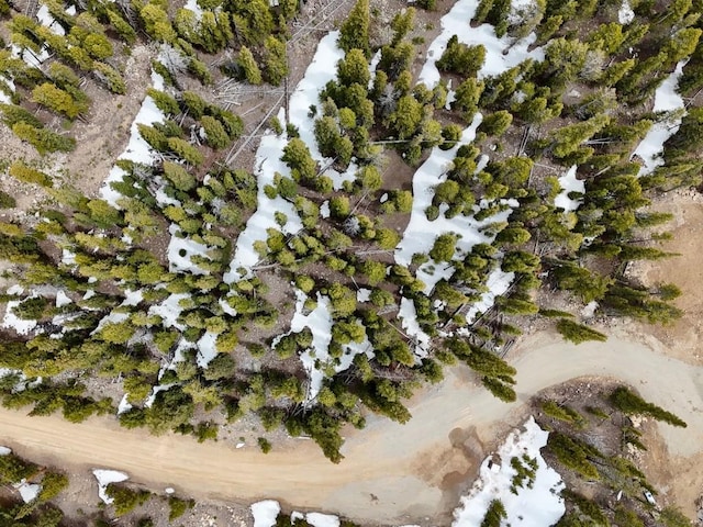 48 Snowshoe Pl, Fairplay, CO 80440