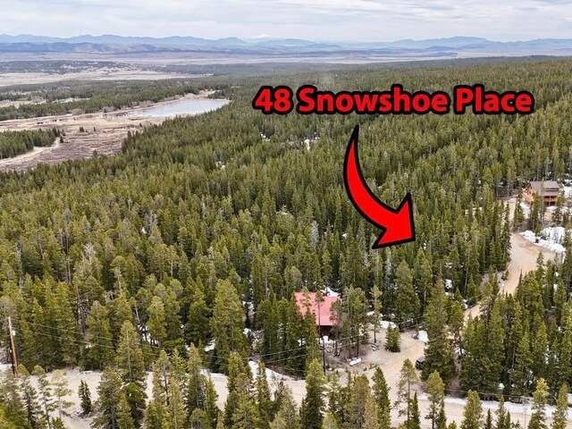 48 Snowshoe Pl, Fairplay, CO 80440