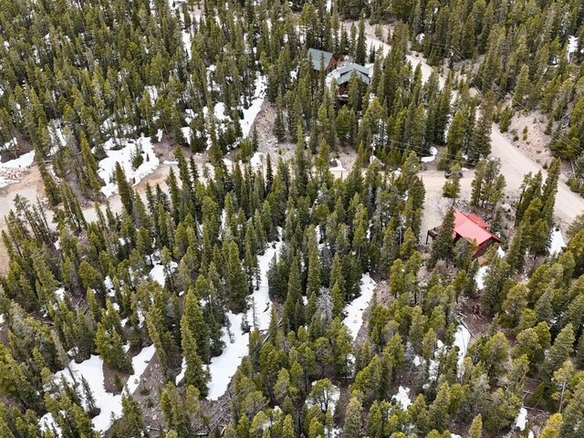 48 Snowshoe Pl, Fairplay, CO 80440
