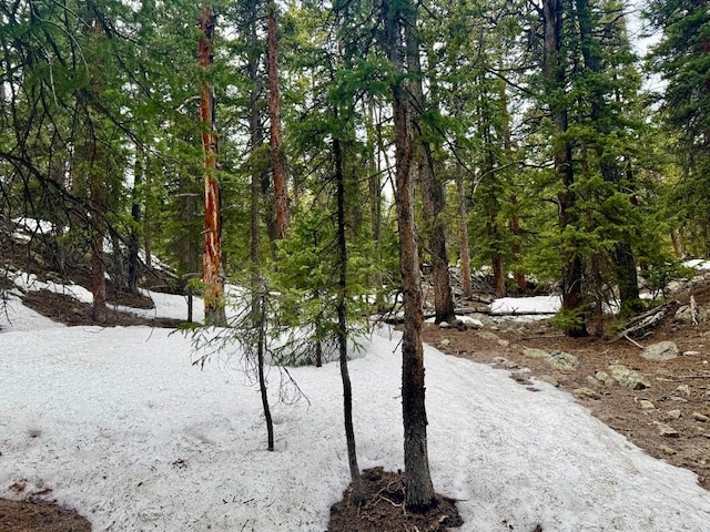 48 Snowshoe Pl, Fairplay, CO 80440