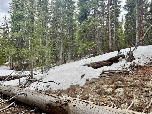 48 Snowshoe Pl, Fairplay, CO 80440