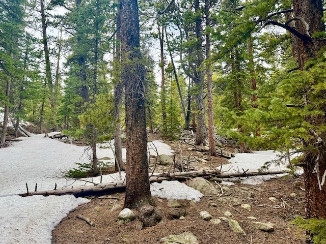 48 Snowshoe Pl, Fairplay, CO 80440