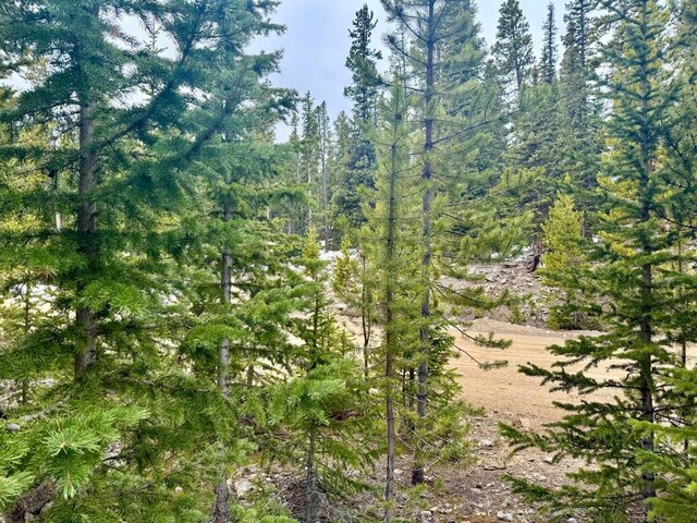 48 Snowshoe Pl, Fairplay, CO 80440