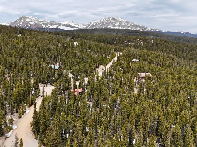 48 Snowshoe Pl, Fairplay, CO 80440