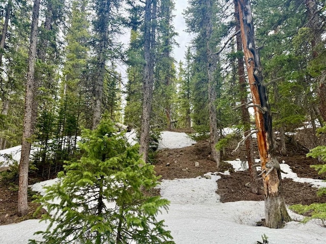48 Snowshoe Pl, Fairplay, CO 80440