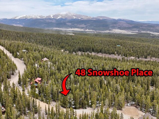 48 Snowshoe Pl, Fairplay, CO 80440