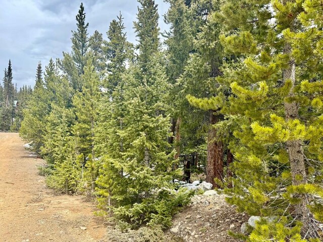48 Snowshoe Pl, Fairplay, CO 80440