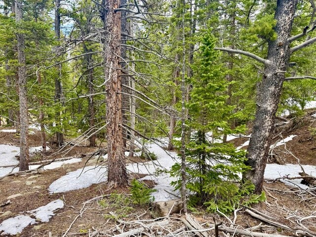 48 Snowshoe Pl, Fairplay, CO 80440