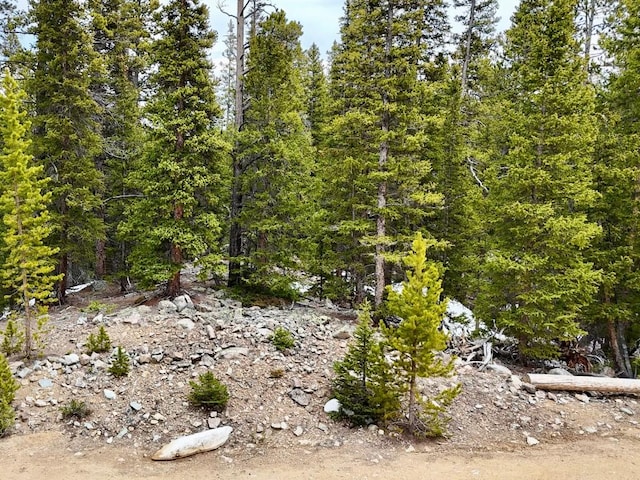 48 Snowshoe Pl, Fairplay, CO 80440