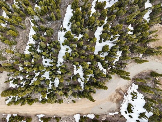 48 Snowshoe Pl, Fairplay, CO 80440