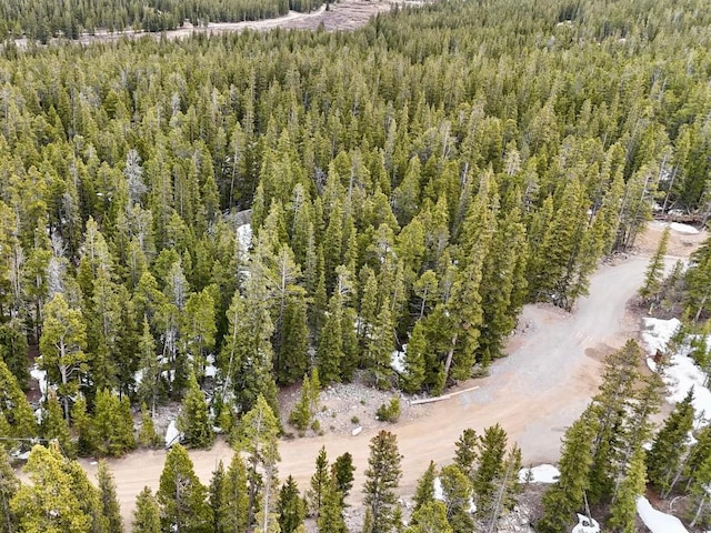 48 Snowshoe Pl, Fairplay, CO 80440