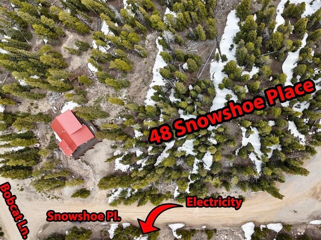 48 Snowshoe Pl, Fairplay, CO 80440