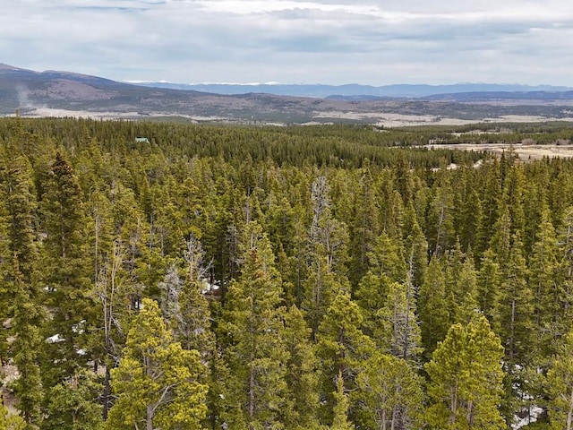 48 Snowshoe Pl, Fairplay, CO 80440