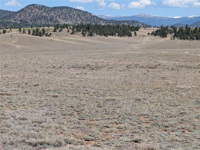 412 Andesite Way, Hartsel, CO 80456