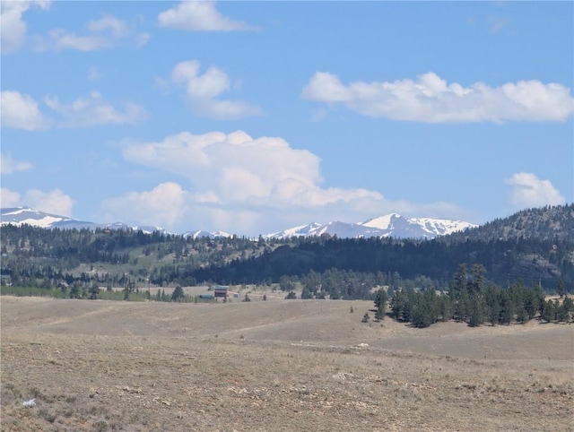 412 Andesite Way, Hartsel, CO 80456