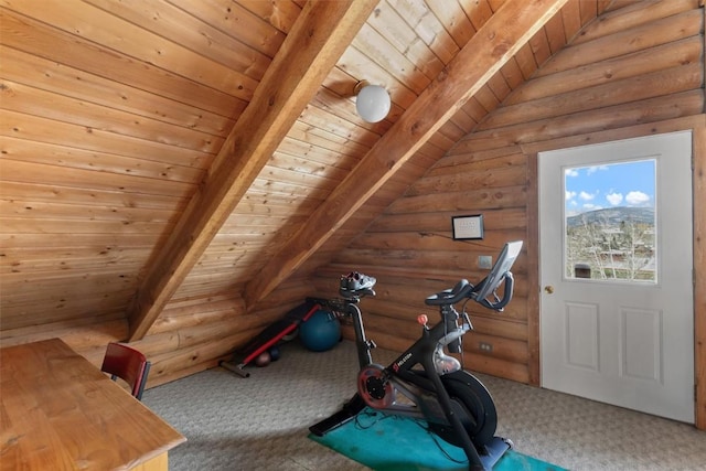 625 Amethyst Dr, Steamboat Springs, CO 80487 - workout room featuring rustic walls, carpet, and wooden ceiling