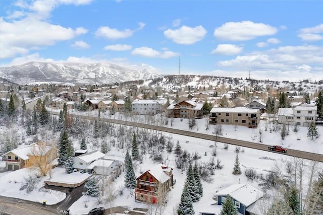 625 Amethyst Dr, Steamboat Springs, CO 80487 - view of mountain background with nearby suburban area