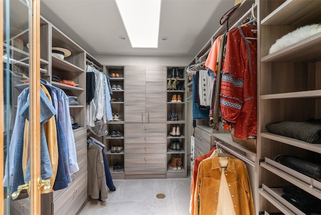 192 Nova Dr, Pine, CO 80470 - spacious closet with carpet floors