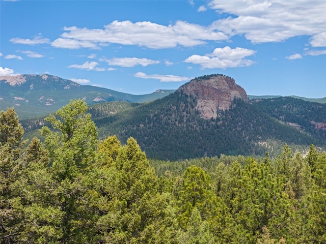 192 Nova Dr, Pine, CO 80470 - view of mountain backdrop featuring a forest