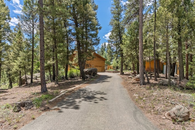 192 Nova Dr, Pine, CO 80470 - view of asphalt driveway