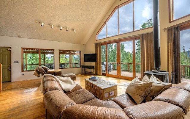 326 Spring Beauty Dr, Silverthorne, CO 80498 - photo 5