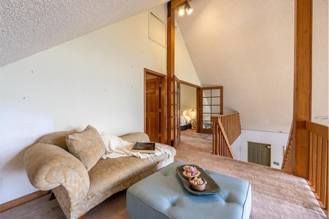 326 Spring Beauty Dr, Silverthorne, CO 80498 - photo 15