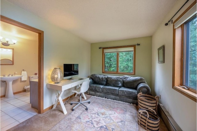 326 Spring Beauty Dr, Silverthorne, CO 80498 - photo 12