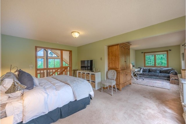 326 Spring Beauty Dr, Silverthorne, CO 80498 - photo 11