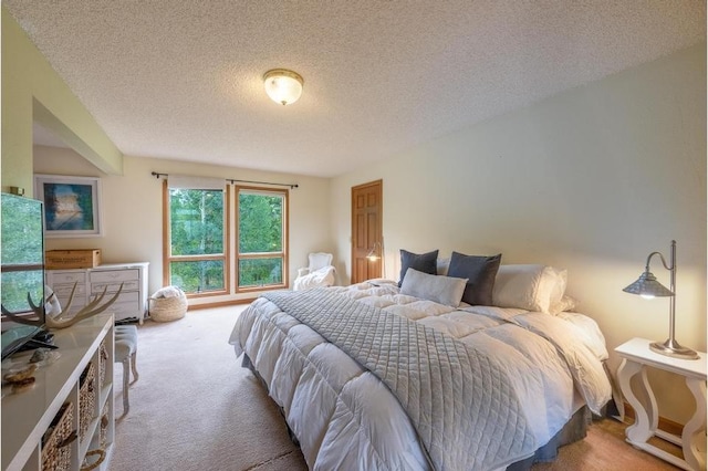 326 Spring Beauty Dr, Silverthorne, CO 80498 - photo 10
