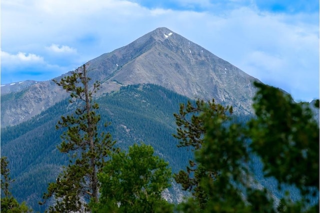 326 Spring Beauty Dr, Silverthorne, CO 80498 - photo 27