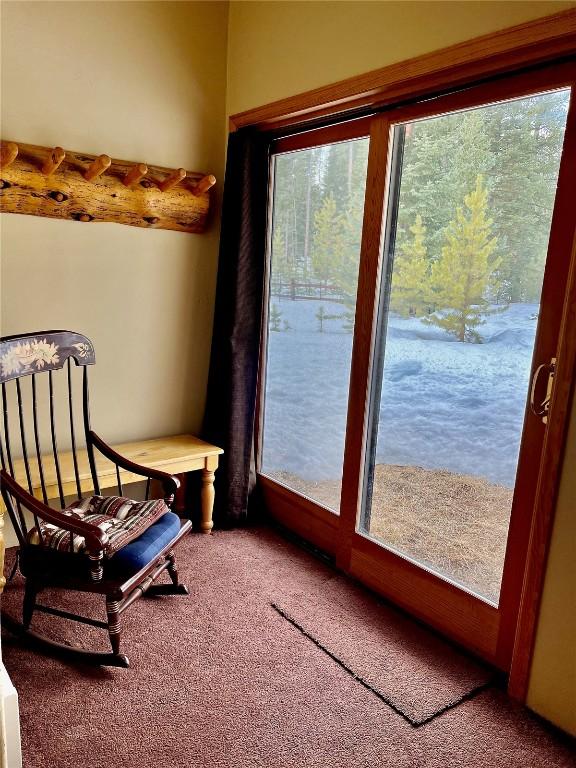 61 Pine Cir, Breckenridge, CO 80424 - sitting room with carpet floors