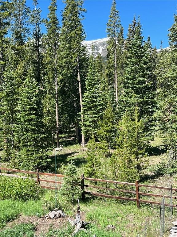 61 Pine Cir, Breckenridge, CO 80424 - view of yard with a wooded view