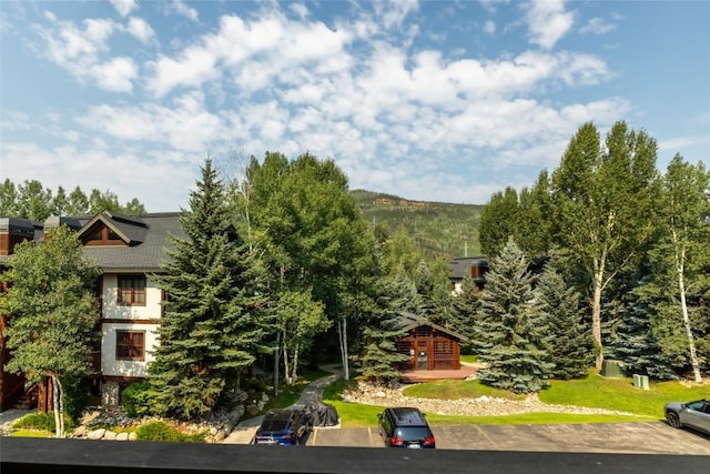 435 Ore House Plz Unit 301, Steamboat Springs, CO 80487 - photo 2