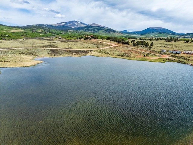 514 Little Baldy Cir, Fairplay, CO 80440 - photo 39