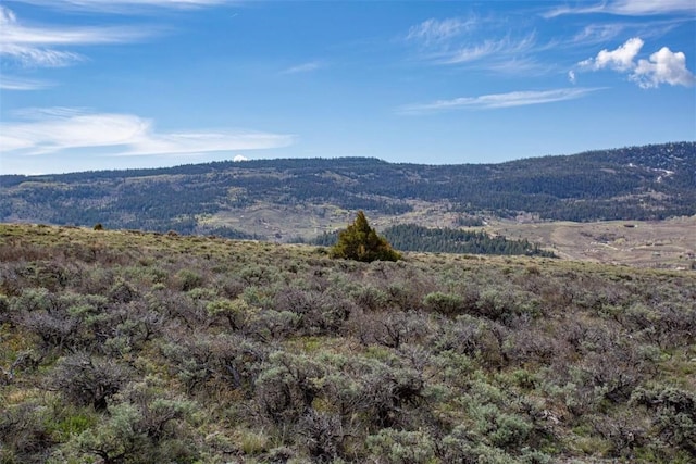 38 County Road 1901, Kremmling, CO 80459 - photo 13